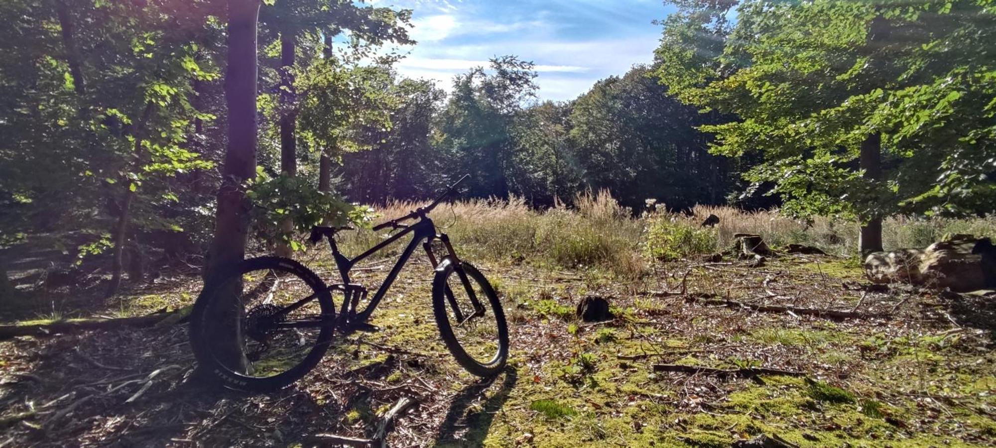 Ferienhaus Moehnetal Allagen Bagian luar foto